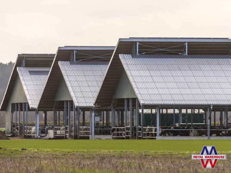 Agricultural Metal Building – Agreculture